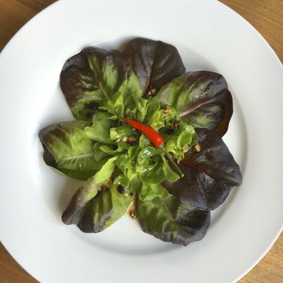 Soja-Balsamico-Dressing