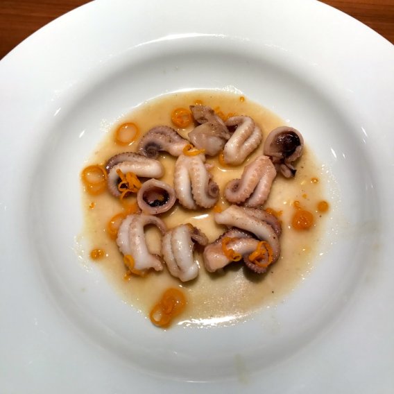 Tintenfischchen mit Orange