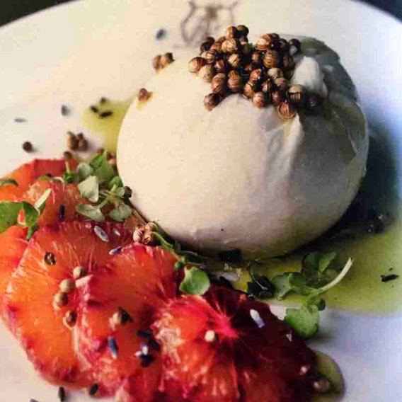 Burrata mit Blutorange