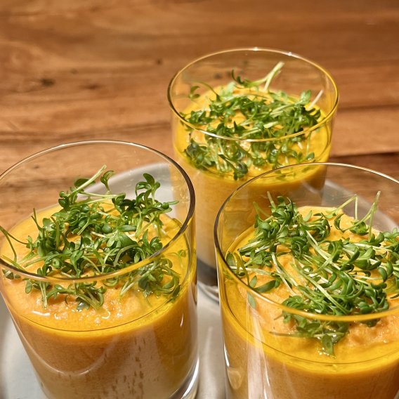 Karottenmousse mit Ingwer