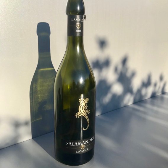 Waadt. Chasselas. Salamandre. Lavaux 2019