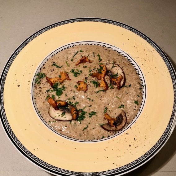 Eierschwammerl-Suppe