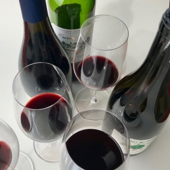 Erste Schritte zum Weinkenner