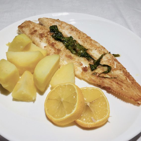 Rezepte Butt Rotzunge Seezunge | compactcook.com