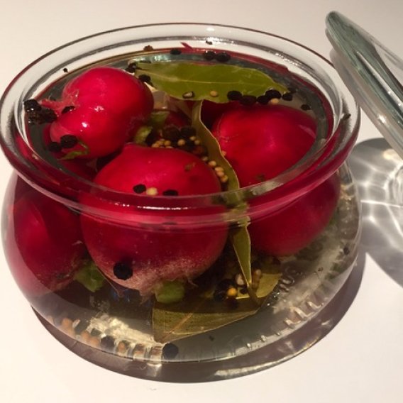 Radieschen fermentieren